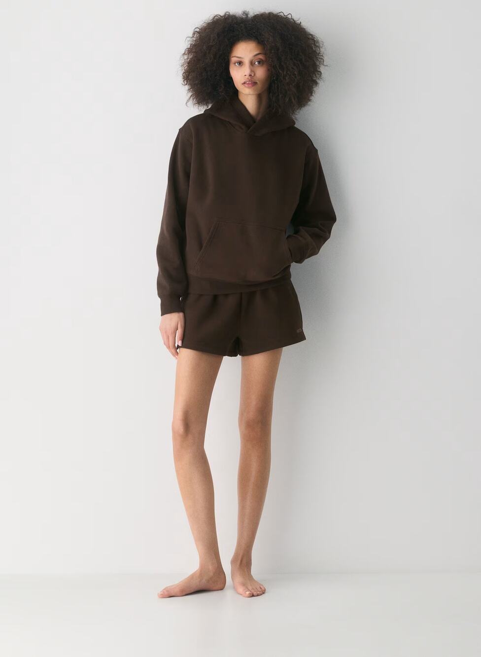 Aritzia Cozy Sweatfleece Perfect Hoodie Brown